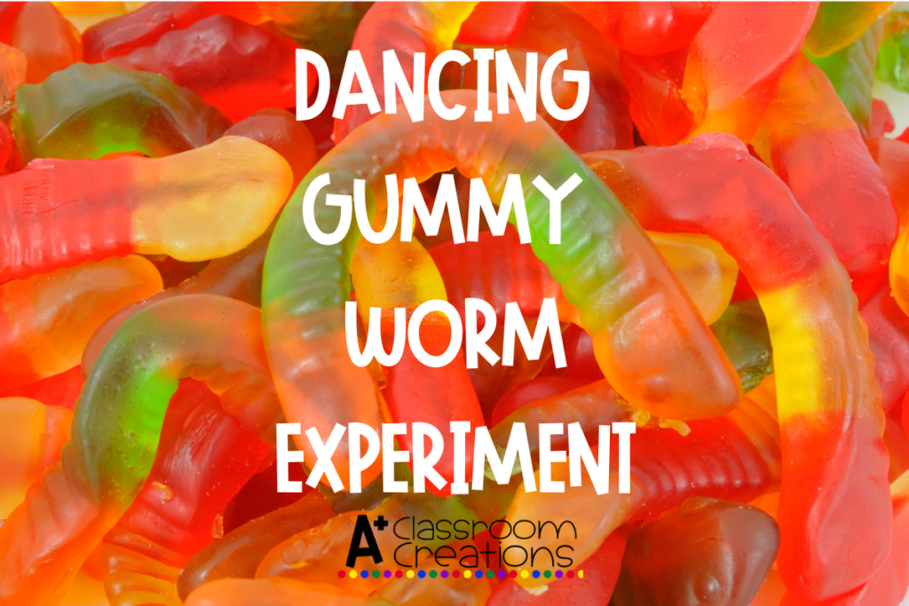 The Dancing Gummy Worm Experiment is great Halloween fun when virtual learning or in the classroom with primary students in grades kindergarten, first and second grade.
