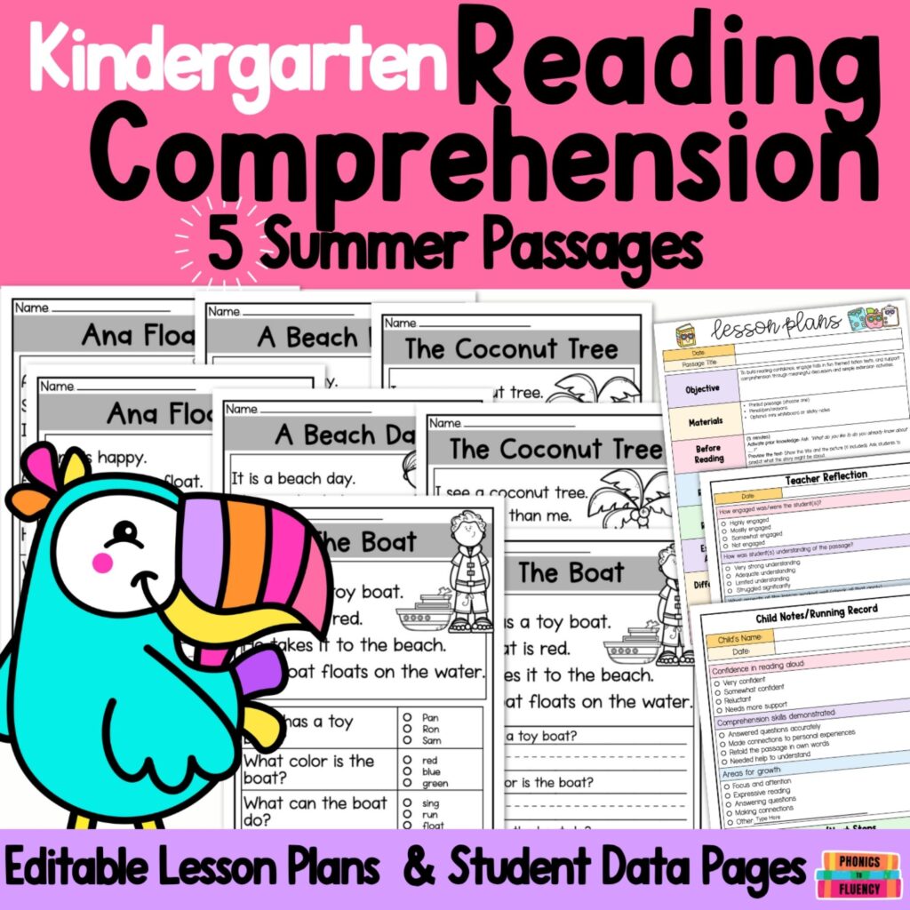 Phonics to Fluency EOY Freebie